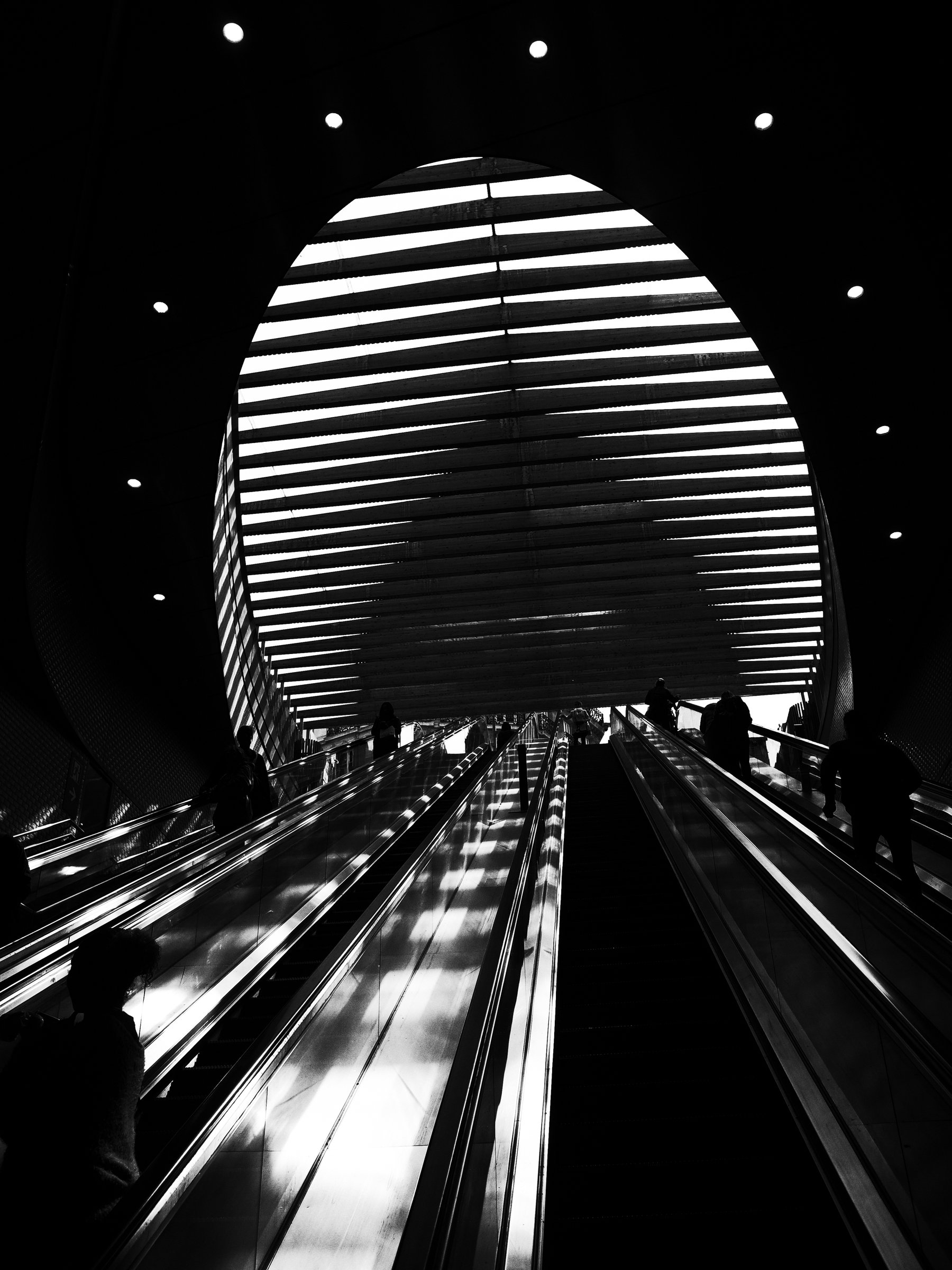 Metro escalator descending into ribbed light vault, black and white